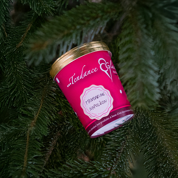 Sorbet Mandarine Napoléon