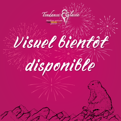 Boule de Noël sans lactose