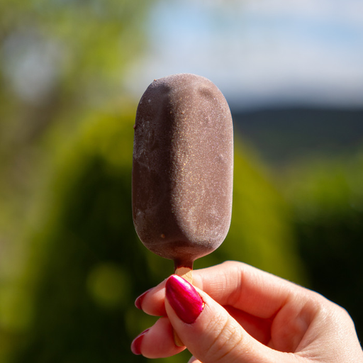 [FRICLASL] Frisco sans lactose 6 pcs.