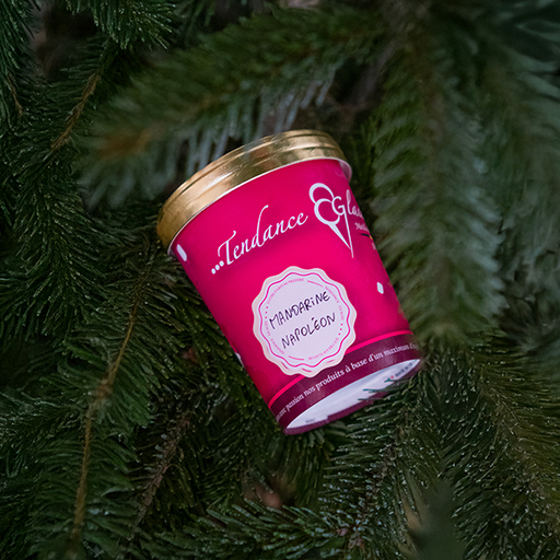 Sorbet Mandarine Napoléon